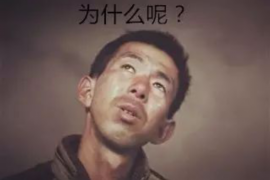 兴县贷款清欠服务